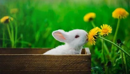 华体会app官方网站：开启体育娱乐的新纪元